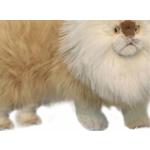 Beige 45 cm Knuffels met motief van Katten voor Kinderen 