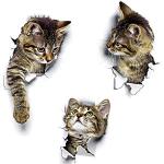 3D muurstickers met motief van Katten 