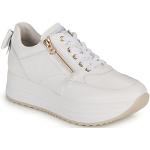 Witte NeroGiardini Lage sneakers  in maat 36 met Hakhoogte 3cm tot 5cm in de Sale voor Dames 