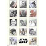 Nifty Star Wars poster -Episode VIII - The last Jedi - Portretten - Star Wars Oorlog (91,5 x 61 cm)