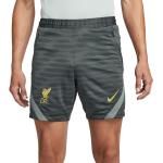 Nike - Liverpool FC Strike Shorts - Liverpool Shorts