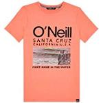 O'Neill Lb The Point T-shirt met korte mouwen voor jongens