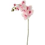 Roze Bloemen Kunstmatige bloemen & planten met motief van Orchidee 