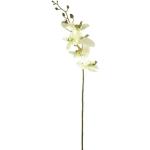 Groene Bloemen Kunstmatige bloemen & planten met motief van Orchidee 