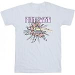 Pink Floyd Heren Pastel Driehoek T-shirt