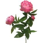 Roze Bloemen Kunstmatige bloemen & planten 
