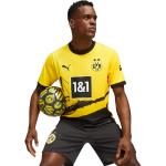 Gele Borussia Dortmund Duitse clubs  in maat L in de Sale 