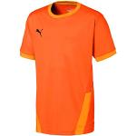 Oranje Polyester Puma teamGOAL Ronde hals kindertruien  in maat 176 voor Jongens 