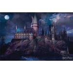 Multicolored Pyramid Harry Potter Hogwarts Posters 
