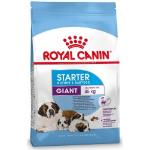 Royal Canin Giant Hondenbrokken 