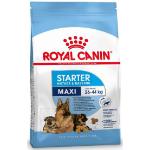 Royal Canin Maxi Starter Mother and Babydog hondenvoer 2 x 15 kg