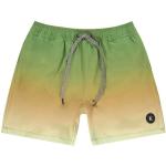 S Gradient Green Olive size L