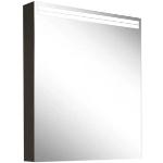 Schneider ARANGA Line TW LED mirror cabinet, ARA 60/1/TW/L, 60 x 70 cm, 160.461.02.41