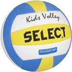 Blauwe Derbystar Volleyballen voor Kinderen 