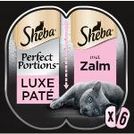 Sheba Perfect Portions Luxe Paté met zalm nat kattenvoer 6 x 37,5g Per 8