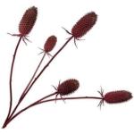 Rode Silk-ka Kunstmatige bloemen & planten 