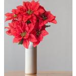 Rode Bloemen Decoratieve vazen 