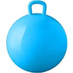 Blauwe Sinterklaas Skippyballen voor Kinderen 