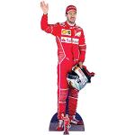 Multicolored Kartonnen Sebastian Vettel Opberg accessoires Sustainable 
