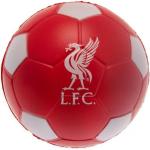 Rode Liverpool F.C. Voetballen 