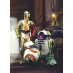 Multicolored Komar Star Wars C3PO Fotobehang 
