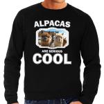 Zwarte Alpaca Sweaters voor Heren 