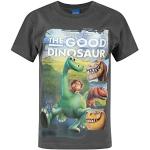 The Good Dinosaur Characters Charcoal Short Sleeve Boy's T-Shirt
