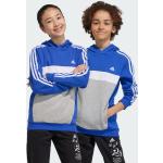 Grijze Fleece adidas Tiberio Kinder hoodies  in maat 128 