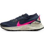 Trail schoenen Nike Pegasus Trail 3 GTX dc8793-401 Maat 45,5
