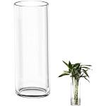 Moderne Transparante Glazen Bloemen Grote vazen Gepolijste 
