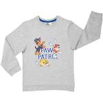 Grijze Polyester United Labels Paw Patrol Kinder hoodies  in maat 104 Sustainable voor Jongens 