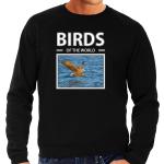 Zeearenden vogel sweater / trui met dieren foto birds of the world zwart voor heren